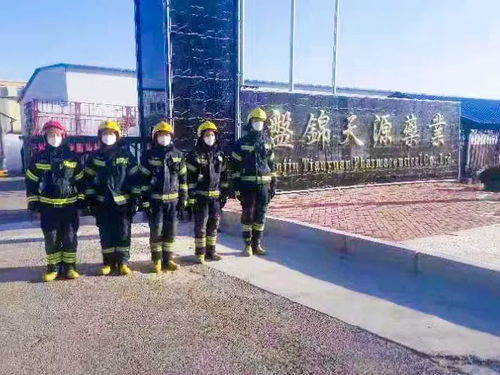 盤錦消防救援支隊駐廠護航確保醫療用品企業安全生產物資供給平安順暢