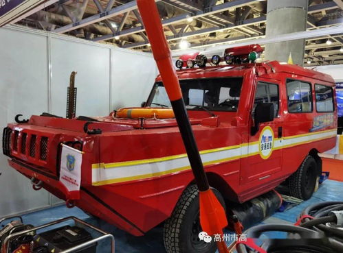 高州一支隊伍代表茂名,受到省應急廳長接見和高度贊許